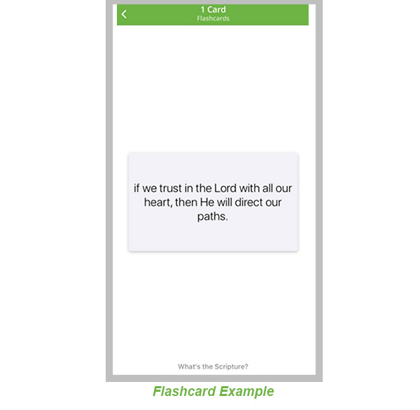 doctrinal-mastery-app-flashcard-border-example.jpg