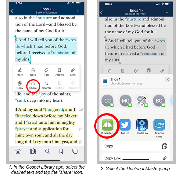 doctrinal-mastery-app-examples-3-border.jpg